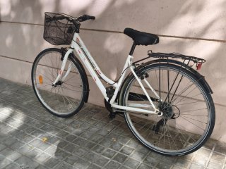 Bicicleta paseo