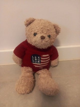 Oso de peluche con suéter rojo