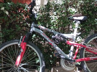 Bicicleta Boomerang Montaña