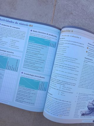 Historia de la Filosofía, 2 Bachillerato, Genio...