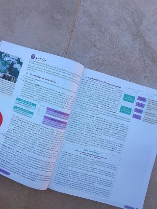 Historia de la Filosofía, 2 Bachillerato, Genio...