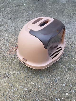 Arenero para gatos BPS