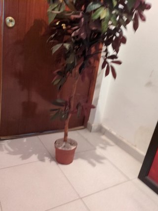 Planta Artificial Grande Decorativa