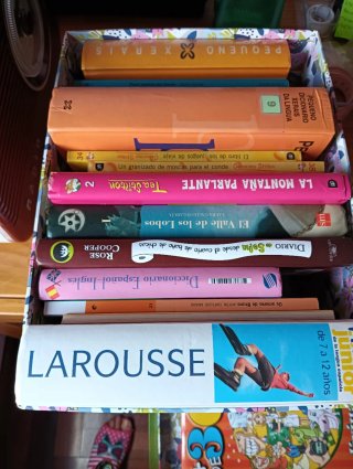 Libros y diccionarios