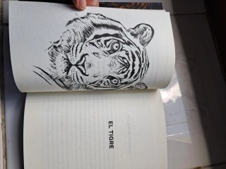 Oso, El Tigre Y El Dragon, El