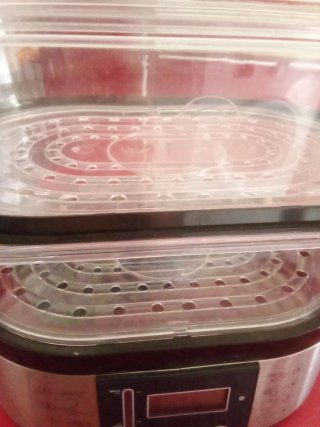 Vaporiera elettrica