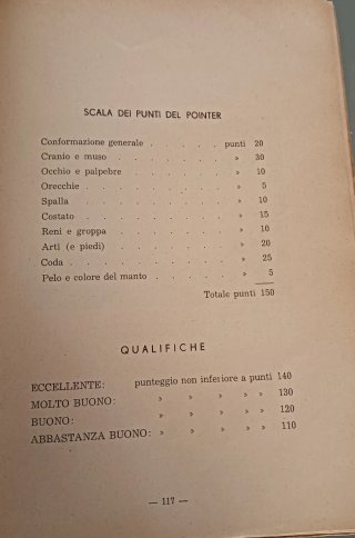 Il pointer (le pontier)