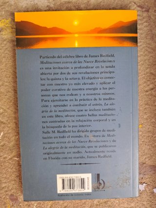 Los Diez Secretos de la Riqueza Abundante+3