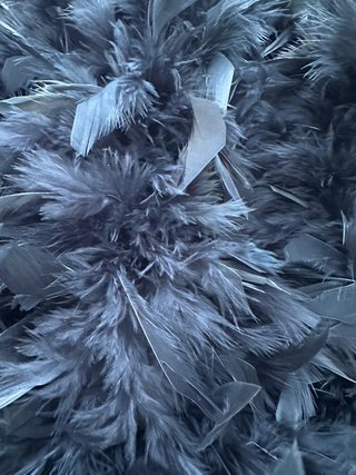 Boa de plumas negras