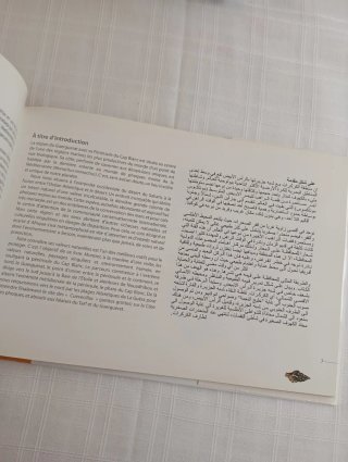 Cuaderno de campo foca monje