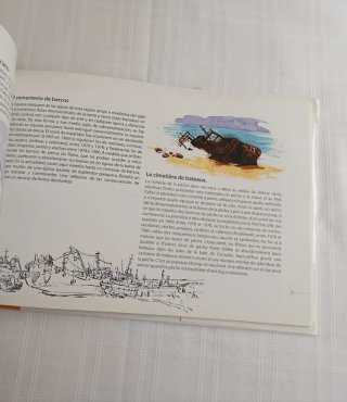Cuaderno de campo foca monje