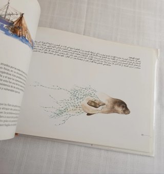 Cuaderno de campo foca monje