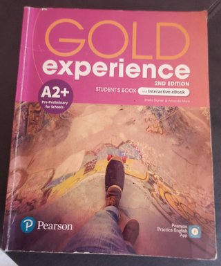 GOLD EXPERIENCE 2ED A2+ STUDENT'S BOOK & INTERActi