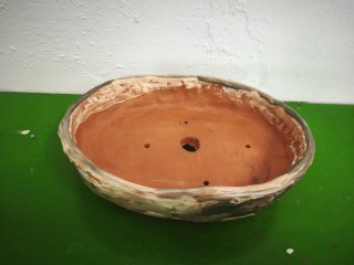 Maceta cerámica para bonsái
