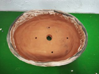 Maceta cerámica para bonsái