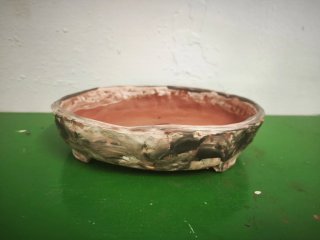 Maceta cerámica para bonsái