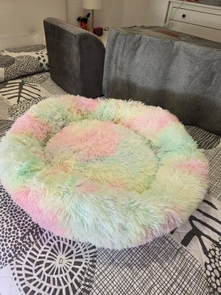 Cama para mascotas Iridiscente Talla L