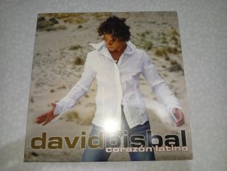 David Bisbal