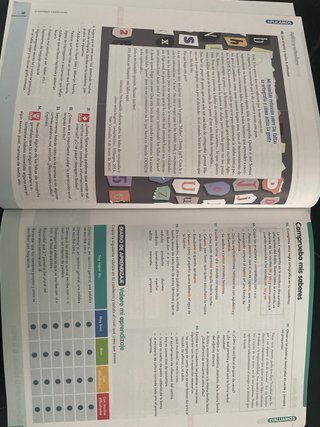 Lengua Castellana y Literatura 2+Separata Ortog...