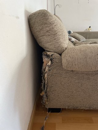 Sofá de tela beige/gris dañado por mascotas