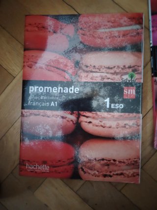 Promenade, français A1, 1 Secundaria Livre de l...