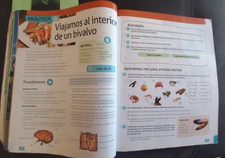 Biología y Geología I, ESO, Secundaria, De otra...