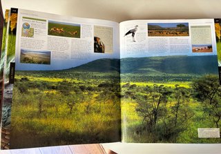Tierra / Plantas, libros gran formato