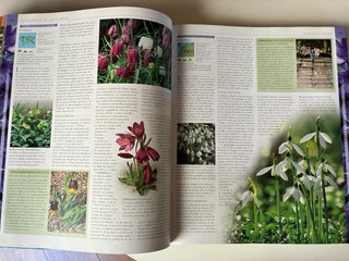 Tierra / Plantas, libros gran formato