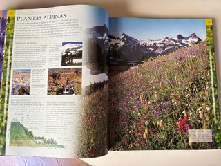 Tierra / Plantas, libros gran formato
