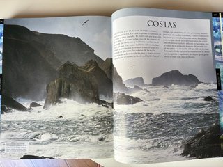 Tierra / Plantas, libros gran formato