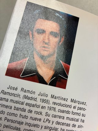 El tocho cheli: Diccionario de jergas, germaní...