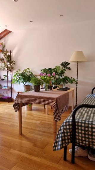Mesa de comedor madera Pino 120x75 INGO Ikea
