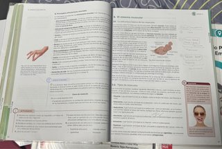 Anatomofisiología y Patología básicas