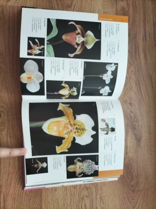 Atlas ilustrado de las orquídeas