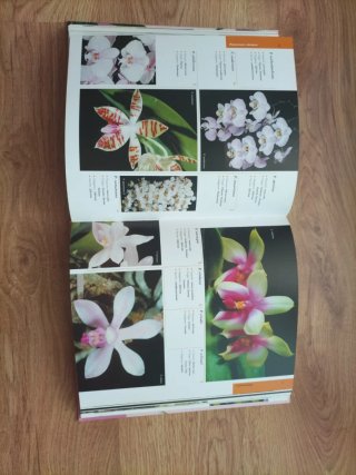 Atlas ilustrado de las orquídeas