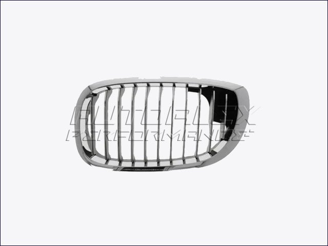 Rejilla IZQ BMW E46