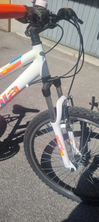 Mountain bike donna cambio Shimano