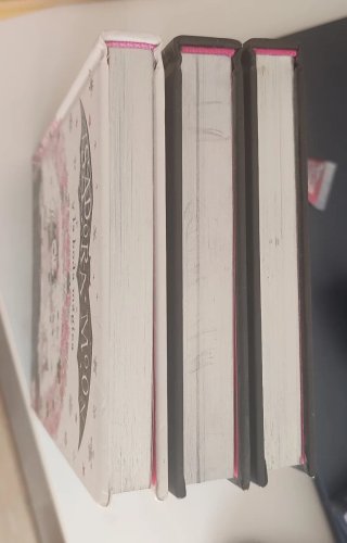 Libros especiales tapa dura Isadora Moon