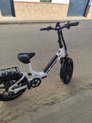 Bicicleta Eléctrica WILDEWAY Torpedo