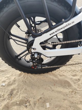 Bicicleta Eléctrica WILDEWAY Torpedo