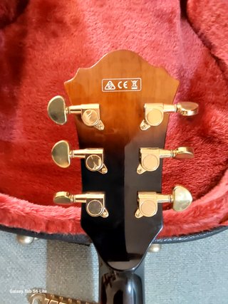 Guitarra Eléctrica Ibanez AS93-VLS + Funda