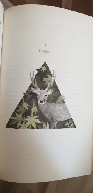 Shinrin-yoku sumergirse en el bosque