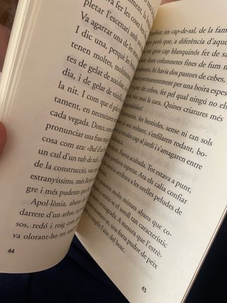 La bruixa Merenga