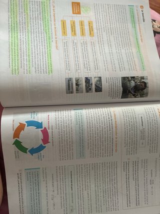 1 Bachillerato, Economía Revuela