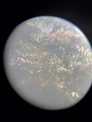 Binocolo Steiner 15X50 funzionante lenti da pulire
