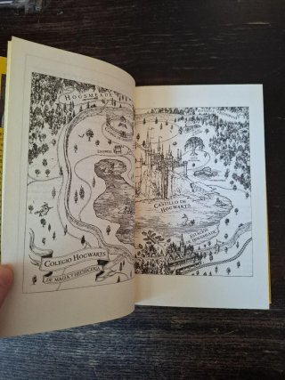Harry Potter y la cámara secreta (20 Aniv. Huff...