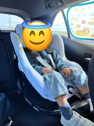 Britax Romer DualFix Silla de Coche