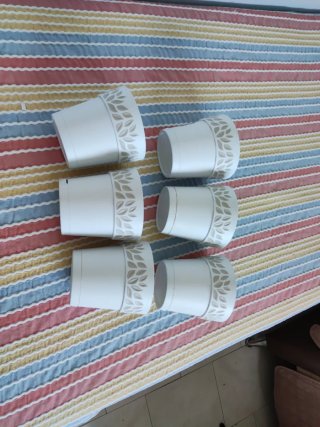 Lote 6 macetas con plato plástico beige/blanco