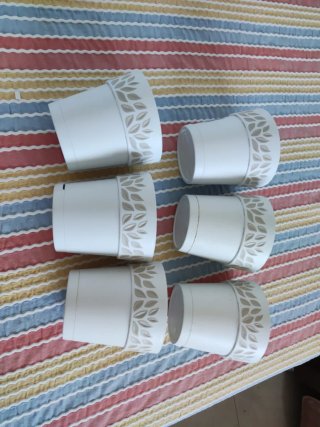 Lote 6 macetas con plato plástico beige/blanco