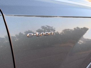 Audi Q7 3.0 TDI etron